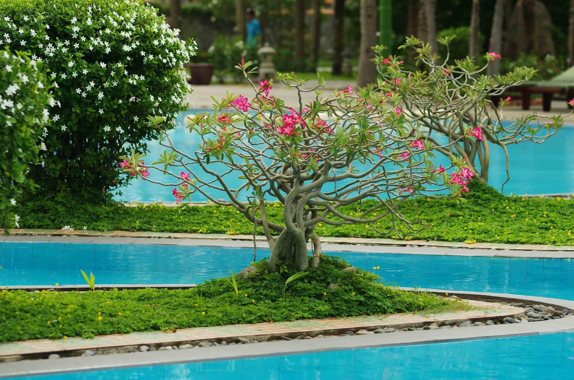 Muine Century Beach Resort & Spa Mui Ne Exterior photo